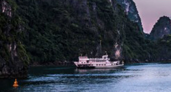 江苏粉象生活代理