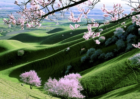 佛山粉象生活怎么推广