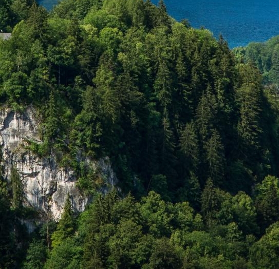 田东生活招聘工作