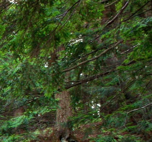 西藏人的生活视频