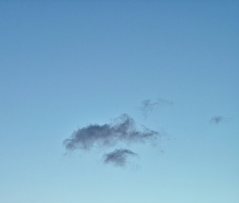 如何加入粉象生活推广