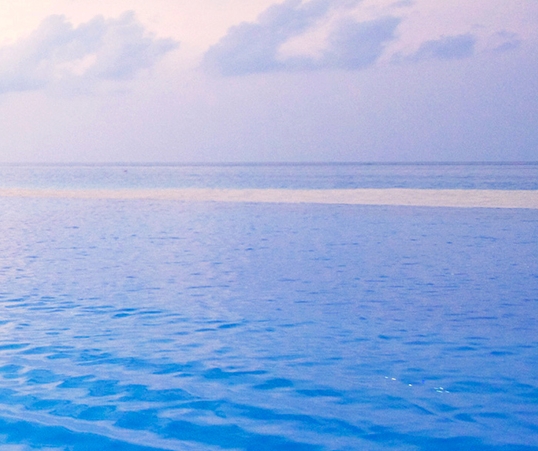 粉象生活是什么东西,真的靠谱吗