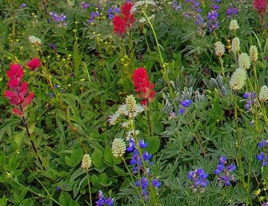 粉象生活购物店