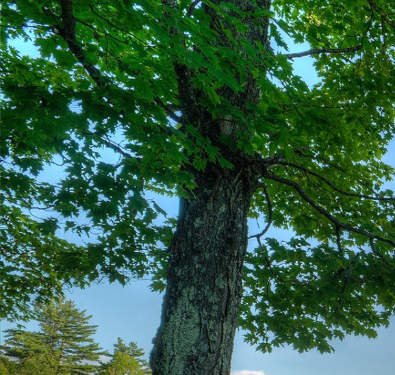 粉象生活品牌中心