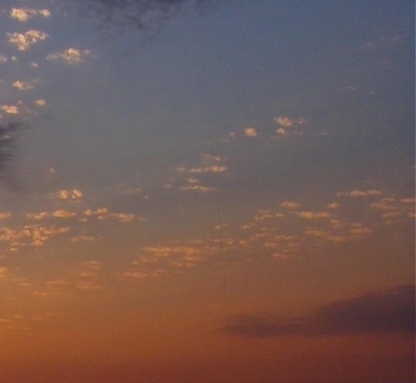 粉象生活可以买票吗