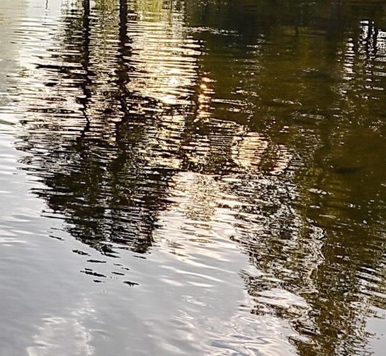 最新版粉象生活app下载安装