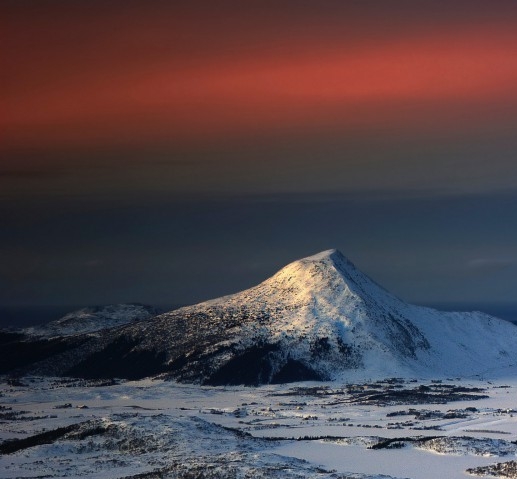 粉象生活做任务视频