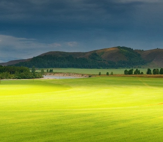 粉象生活下载app