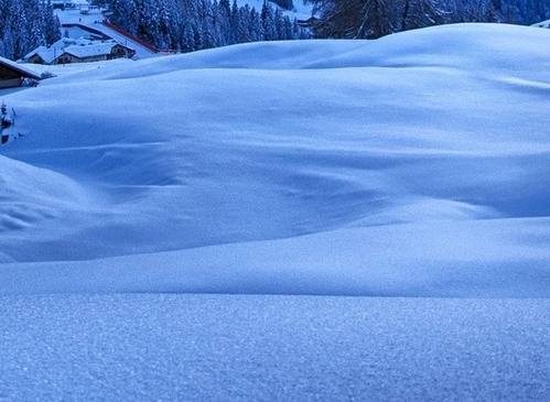 粉象生活下载app