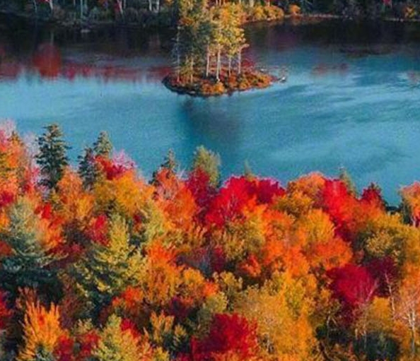 流浪象机联合创始人