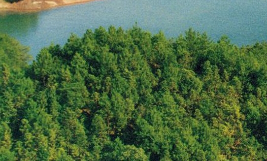 粉象生活日推广50人