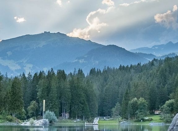 舟山选择粉象生活品牌好吗