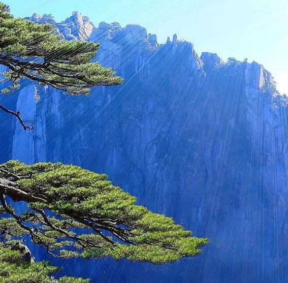 粉象生活怎么做推广