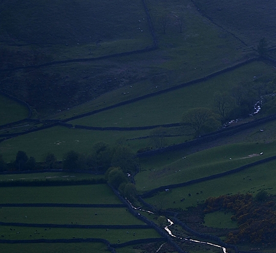 粉象生活分现金图片