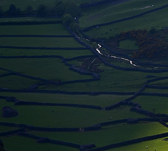 鲤享生活app诈骗