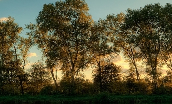 粉象生活怎么赚钱的