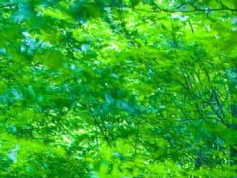 江西粉象生活下载