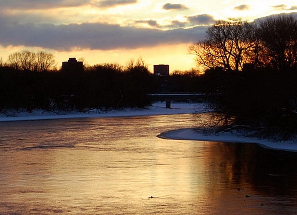 粉象累计预估收益