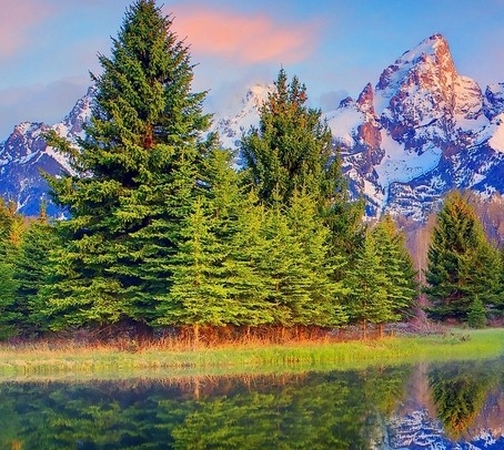 粉象生活平台如何开通