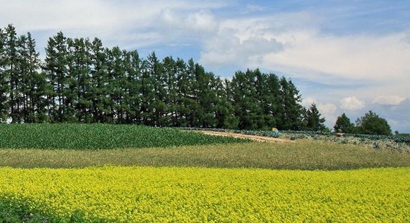 粉象生活哪里直播