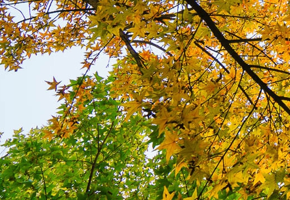 良好生活操作指南