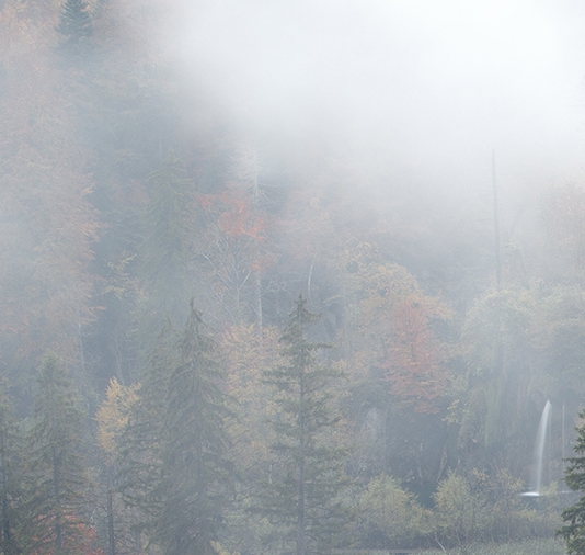 粉象生活商品推荐