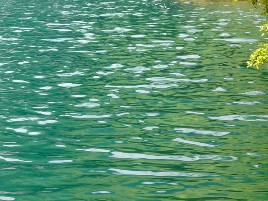 粉象生活济南