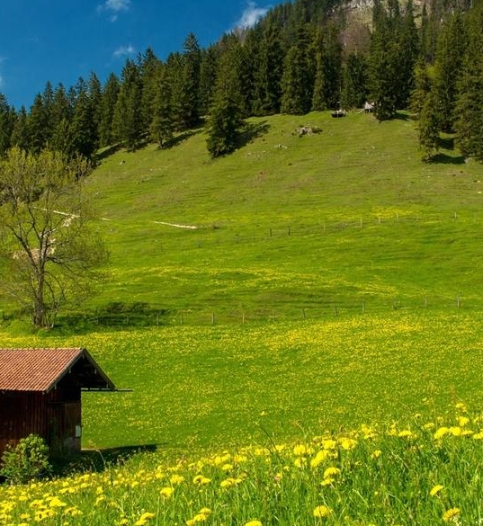 粉象生活是个什么样的平台
