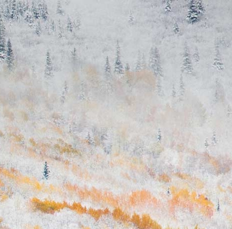 粉象生活的订单如何删除