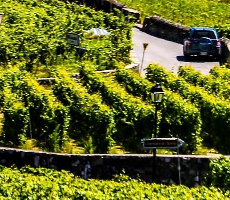 粉象生活怎么赚钱