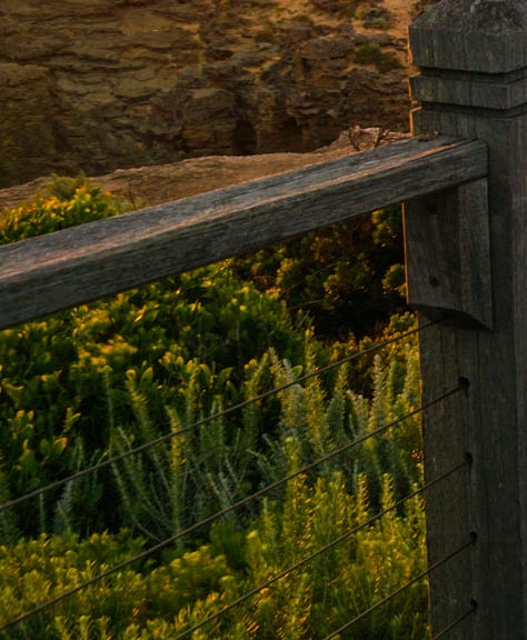 粉象生活怎么注销账户