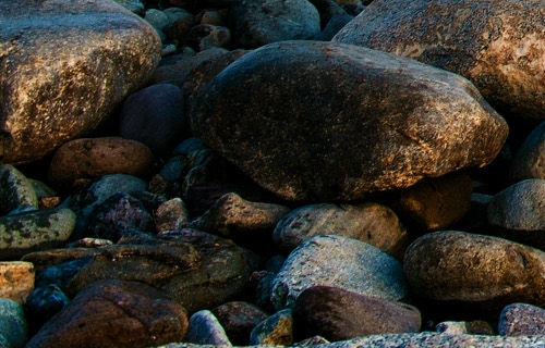 粉象生活拉一个人赚多少钱