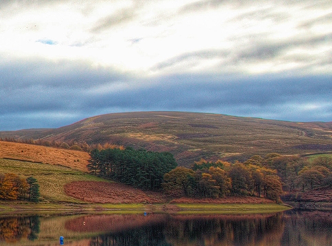 粉象生活怎么赚钱