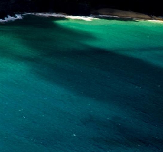 粉象生活任务大厅截图