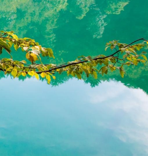 红圈营销权限分配