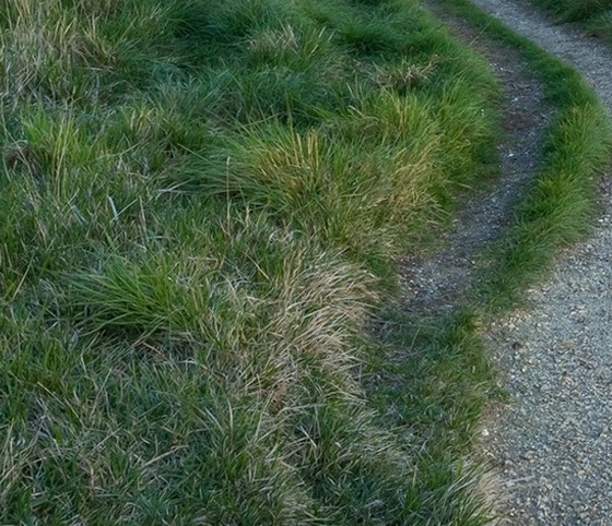 粉象生活提现安全吗