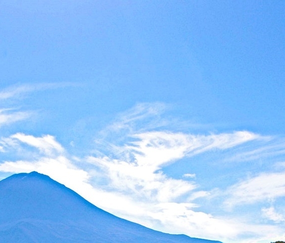 吉林一站式粉象生活官网