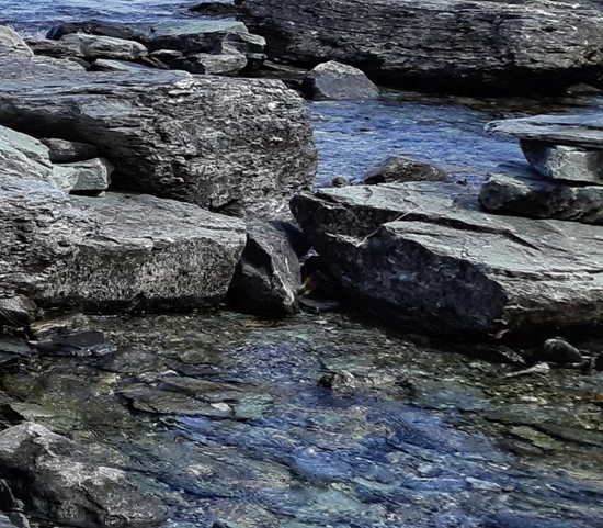 粉象生活怎么赚钱的