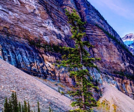 i慧生活加油打折