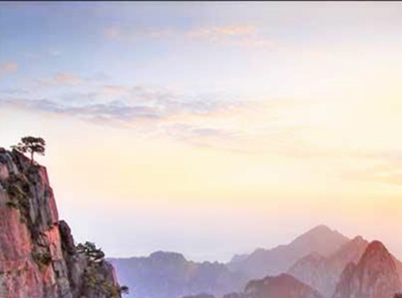 粉象生活分享后怎么没有佣金