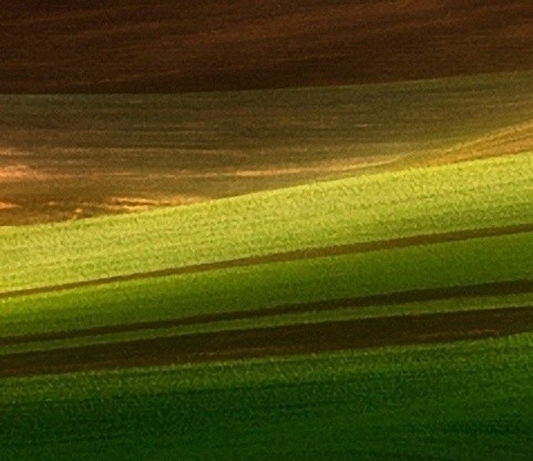 粉象生活下载app