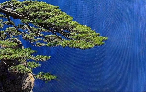 粉象生活怎么赚钱