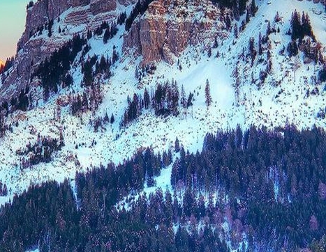 西藏粉象生活视频