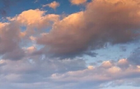 小红象赚钱是真的吗