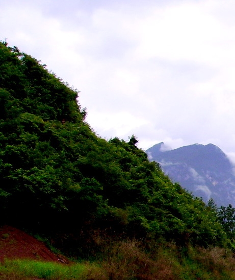 粉象生活合法吗