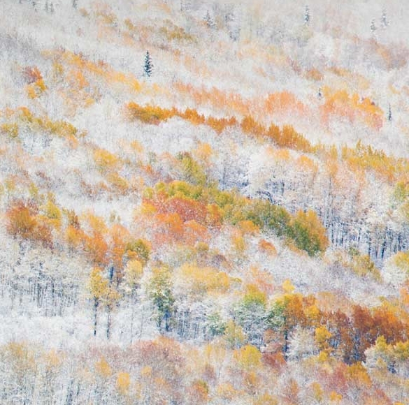 粉象人工客服电话