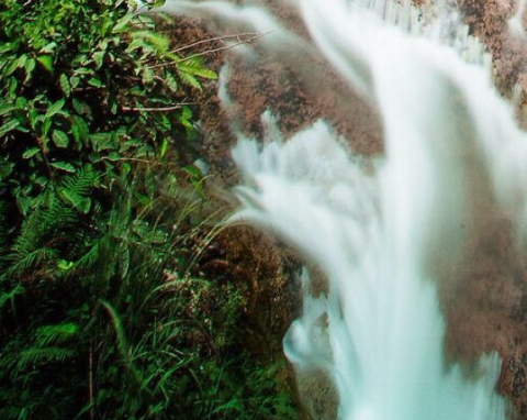 粉象生活可以赚钱吗