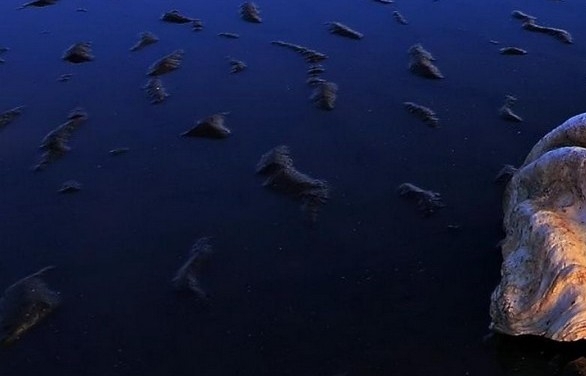 粉象生活怎么增加粉丝数量