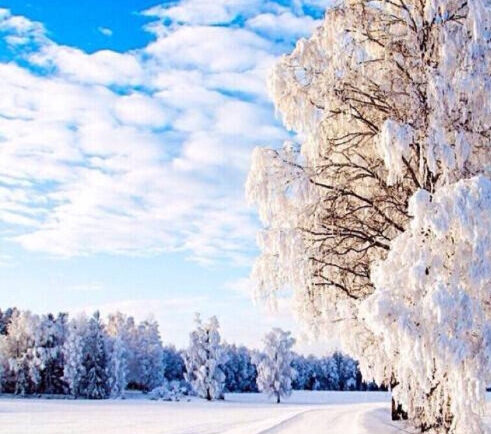 粉象生活下载app