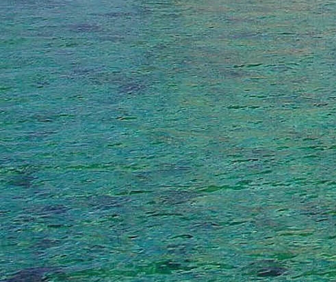 粉象生活如何快速提升粉丝